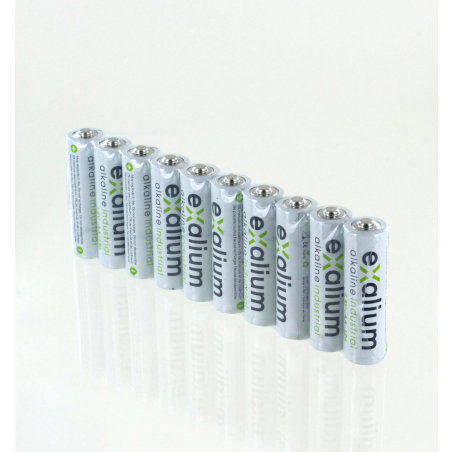 Battery alkaline Exalium Industrial LR06 Pack of 10