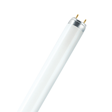 Tube fluorescent G13