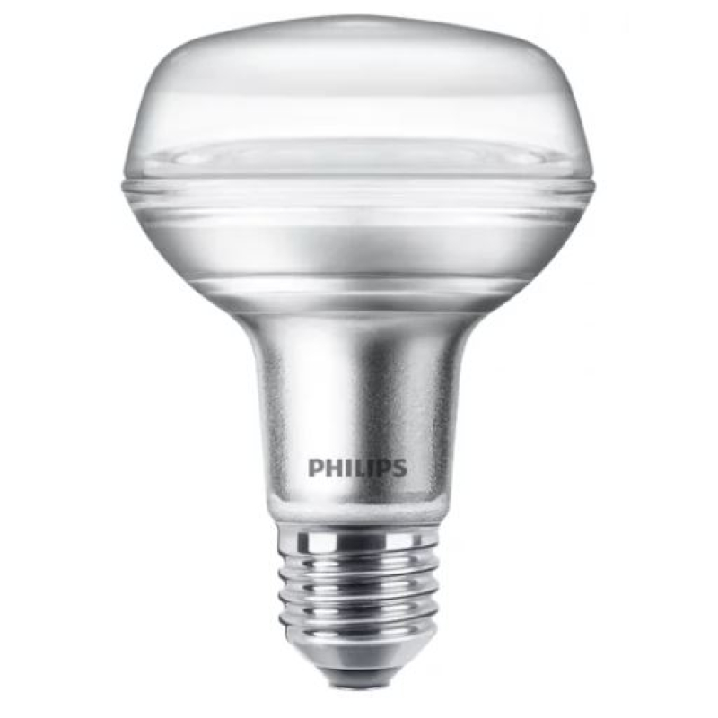 Lamp LED PHILIPS 100V 100W R80