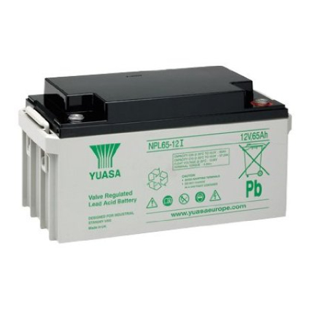 Batteria Piombo 12V 65Ah Yuasa (350X166X174) M6 (NPL65-12I)