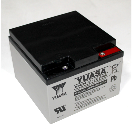 Batteria Piombo 12V 24Ah Yuasa (166X175X125) (NPC2412)