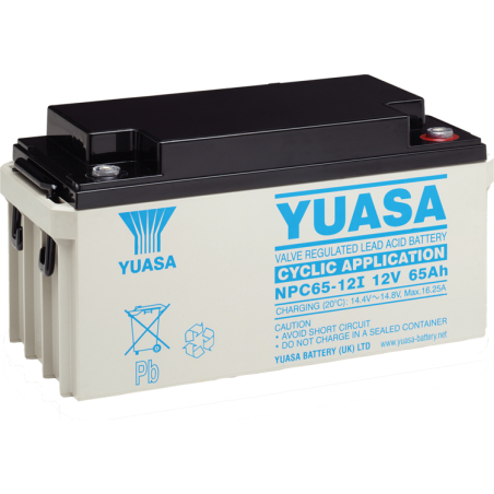 Batteria Piombo 12V 65Ah Yuasa (350X166X174) M5 (NPC65-12)