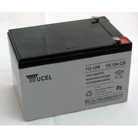 Batteria Piombo 12V 12Ah Yuasa (151X98X98) F2 (Y1212FR)