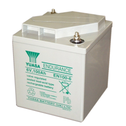Battery Lead 6V 100Ah Yuasa (200X208X239) M8 (EN100-6)