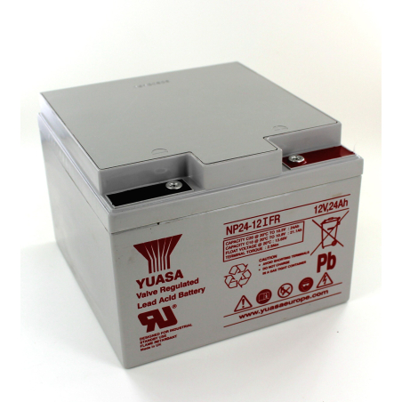 Battery Lead 12V 24Ah Yuasa (166X175X125) (NP24-12IFR)