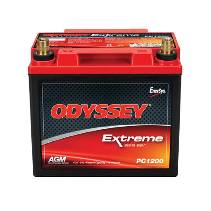 Batteria Piombo 12V 42Ah ENERSYS (200X169X173) (PC1200T)