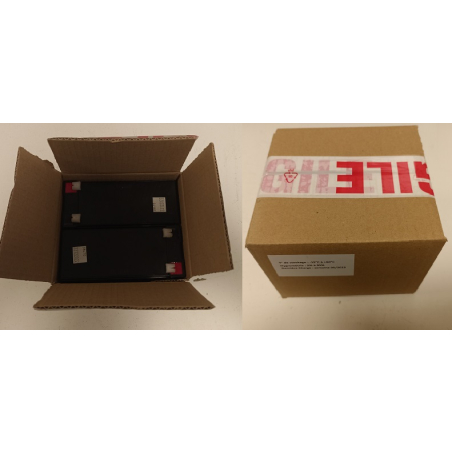 Lot de 2 Batteries NP7-12 selon spec HM56077897