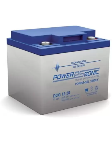 Batteria Piombo 12V 38Ah Power Sonic (197X165X170) (DCG12-38)