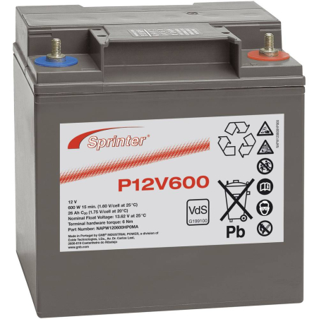 Battery Lead 12V 26Ah Exide (169X128X175) (P12V600)
