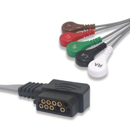 Set 5 derivazioni bottone compatibile Holter DigiTrak PHILIPS (989803157491)