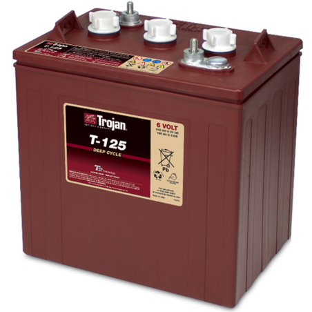 Batteria Piombo 6V 240Ah Trojan (262X181X281) (T-125)