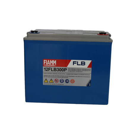 Battery Lead 12V 80Ah Fiamm (261X174X217) (12FLB300P)