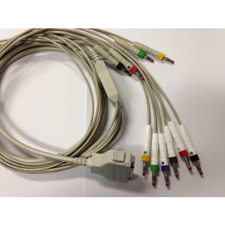 CAVO ECG