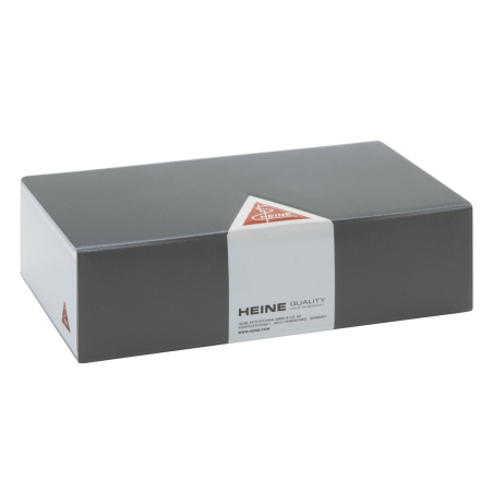 BOX/1000 DISPOSABLE TIPS 2,5MM