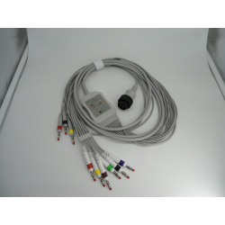 CAVO X ECG 10 TERMINAZAZIONI BANANA PER ELAN 1100