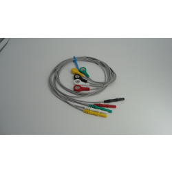 CARDIOLINE CLICKHOLTER BOTTONE