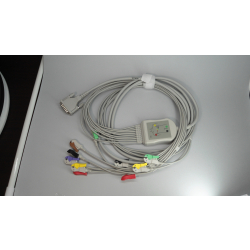 CAVO  ECG INTERO  10 TERM. P
