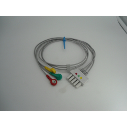 (5 CONNET. INDIVIDUALI)