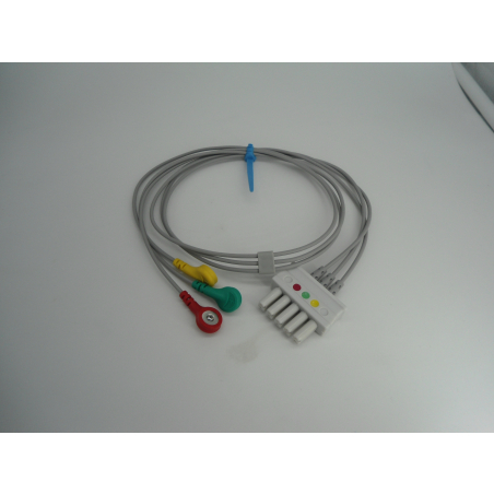 (5 CONNET. INDIVIDUALI)