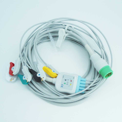 IEC 5 TERMINALI PINZA