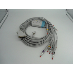 COMP. PHILIPS PAGEWRITER TC10