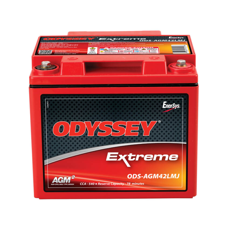 Batteria Piombo 12V 42Ah ENERSYS (200X169X173) (PC1200MJ)