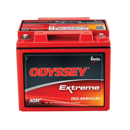 Batteria Piombo 12V 42Ah ENERSYS (200X169X173) (PC1200MJ)