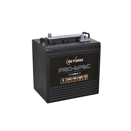 Battery Lead 6V 240Ah Yuasa (259X179X273) (DCB125-6)