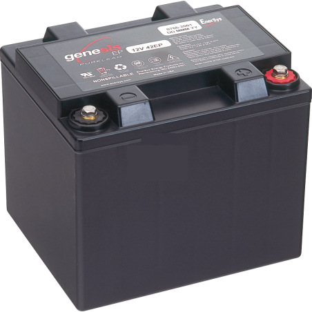 Batteria Piombo 12V 42Ah ENERSYS (197X166X171) (G12V42EP-RS)