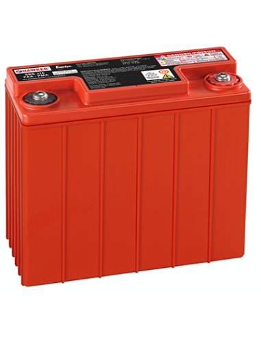 Batterie plomb pur 12V 15Ah Métal Jacket Powersafe
