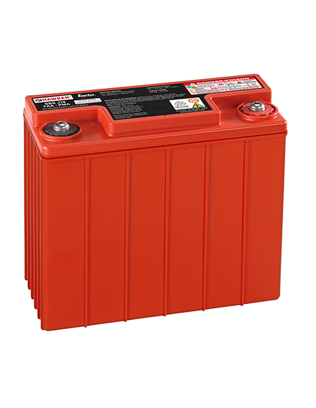 Batterie plomb pur 12V 15Ah Métal Jacket Powersafe