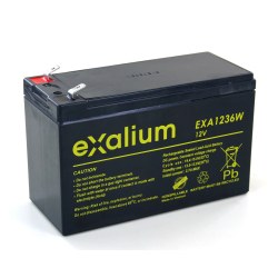 PER ECG ELI350 MORTARA