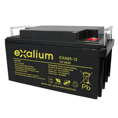 Battery 12V 65Ah for x-ray mobile Mira SIEMENS