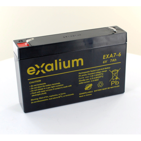 Batterie 6V 7Ah pour moniteur Sirecust 341