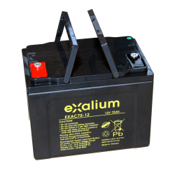 Batterie 12V 75Ah pour fauteuil TIMIX